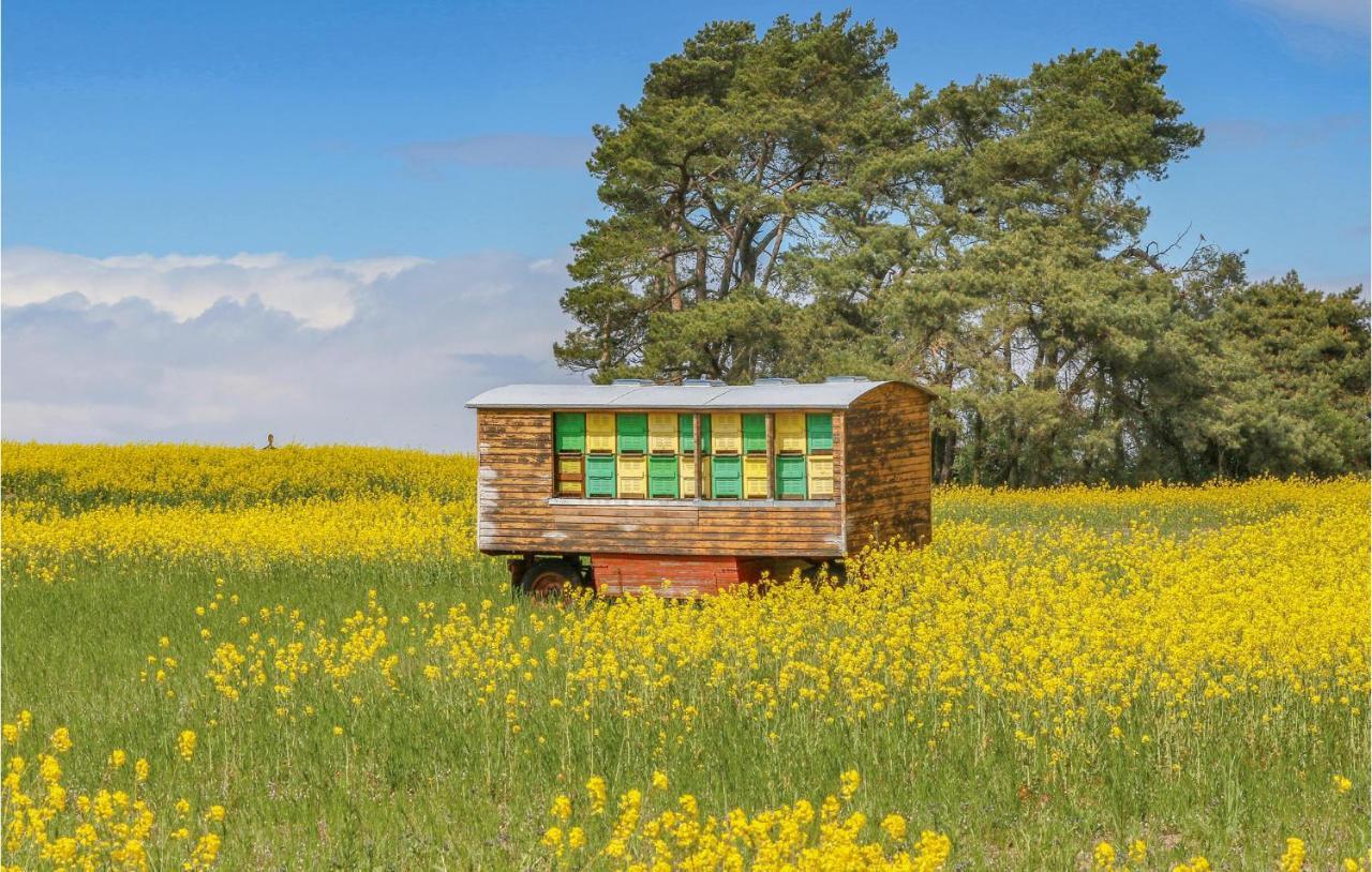 Reetdachhaus 26 Auf Usedom Villa Kutzow Exteriör bild